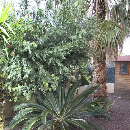 Rosa By Interhome Tatil Evi L'Ampolla